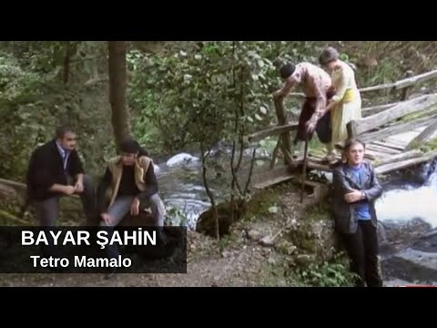 Bayar Şahin-Tetro Mamalo/ბაიარ შაჰინი-თეთრო მამალო